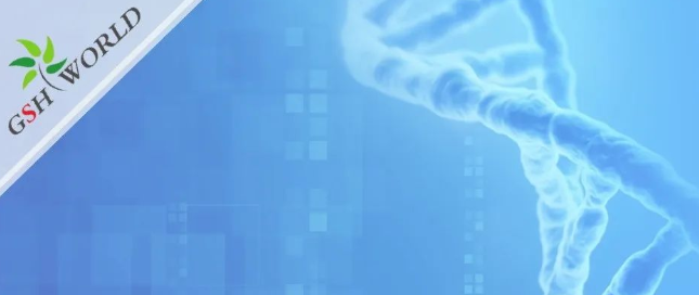 煙酰胺和nmn區(qū)別？煙酰胺單核苷酸(NMN) 的化合物