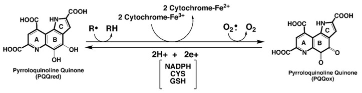 包含圖片、插圖等的外部文件。
對(duì)象名稱為 biomolecules-11-01441-g001.jpg