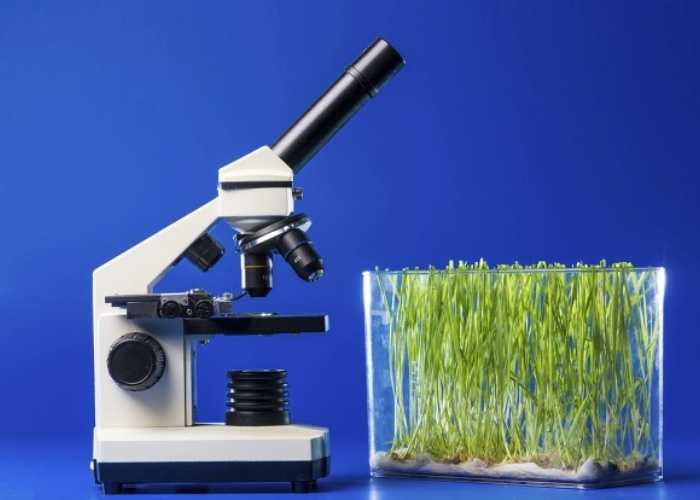 古特生物 古特生物