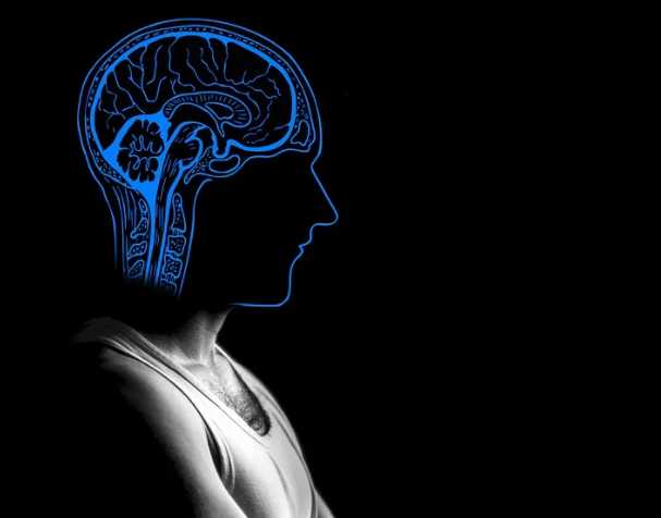 古特生物 胞磷膽堿跟記憶的關(guān)系