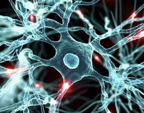 SAMe為心理健康帶來新可能 S-腺苷甲硫氨酸SAMe為心理健康帶來新可能