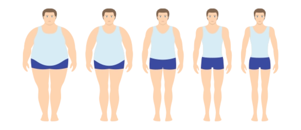 對肥胖“氧化應(yīng)激-炎癥”循環(huán)的阻斷作用