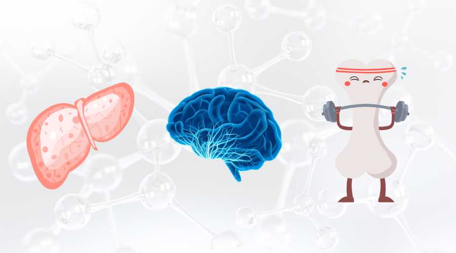 或可改善肝功能指標(biāo) 或可改善肝功能指標(biāo)