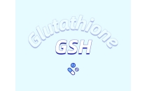 關(guān)注肝臟健康，了解谷胱甘肽