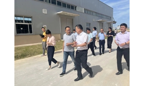 市委常委、副市長呂棟來公司調研