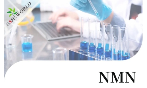 行業(yè)關(guān)注 - NMN最新研究進(jìn)展