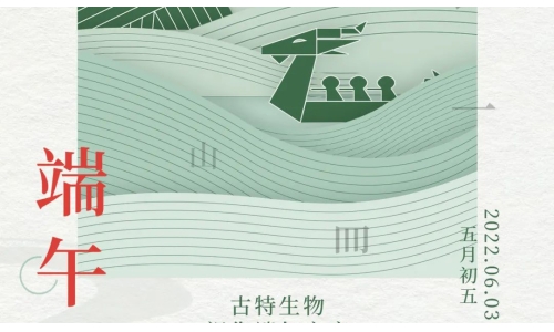 端午 - 爭流而上，行舟踏浪