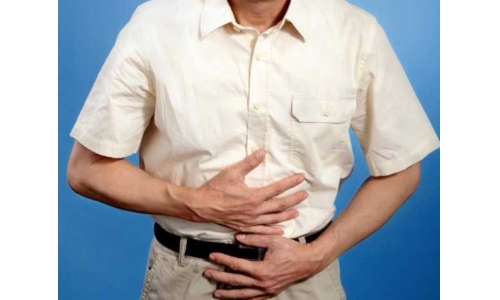 哪些成分對維護腸道健康有效？