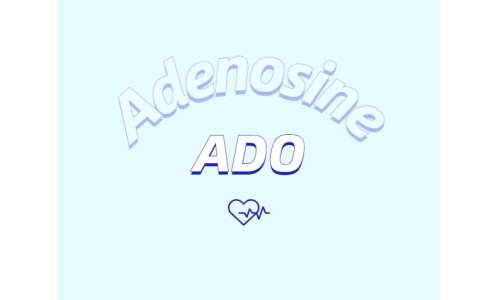 洗護用品中添加腺苷是否有防脫發(fā)功能？