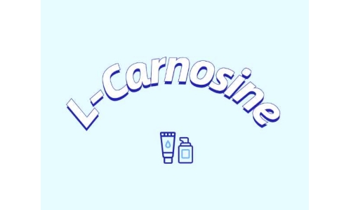 L-肌肽有什么應(yīng)用？