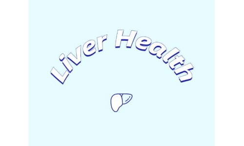 哪些原料可助力肝臟健康？