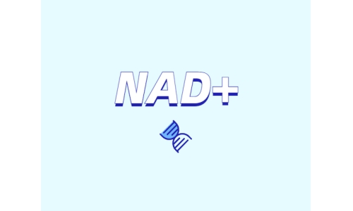 NAD +皮膚抗衰老的新方法